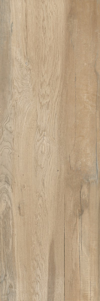 Castelvetro Aequa Silva 30x120 cm Naturale R10B